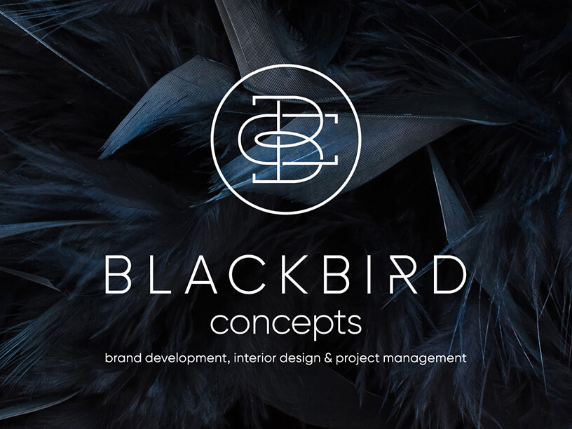 Blackbird Concepts Logo Design